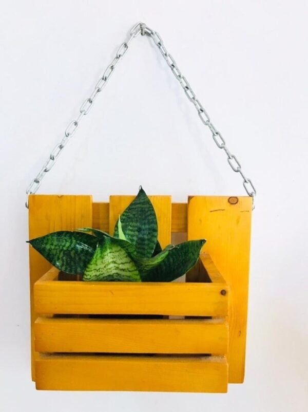 Wooden wall hanging pot stand wall pot stand Mango Wood